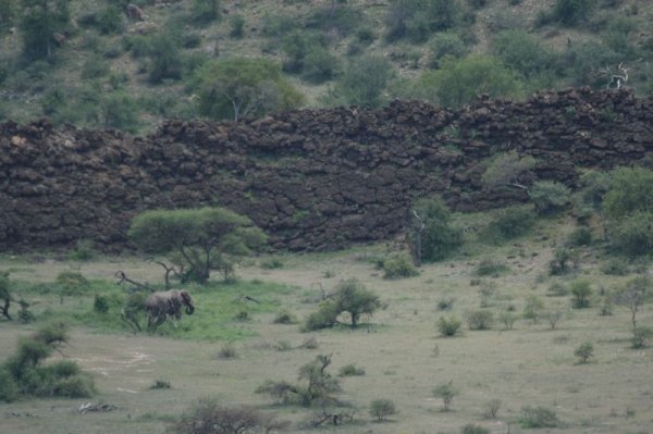 Elephant near a Basalt 'Extrusion'