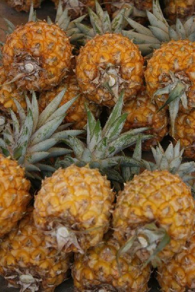 Small Pineapples