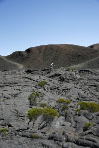 on the lava field
