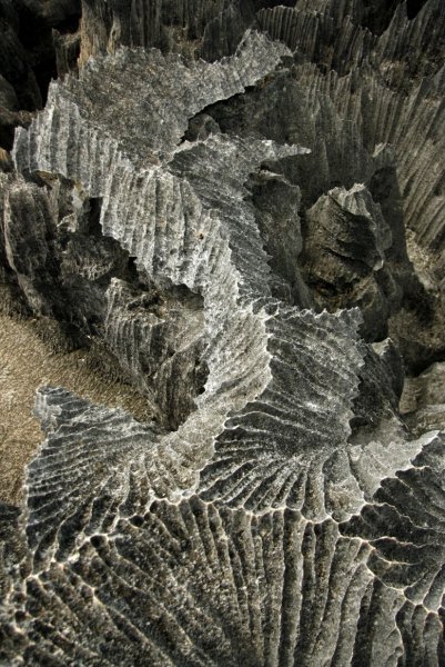 Layer of Tsingy