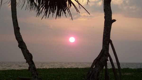 Sunset in Ahungalla 