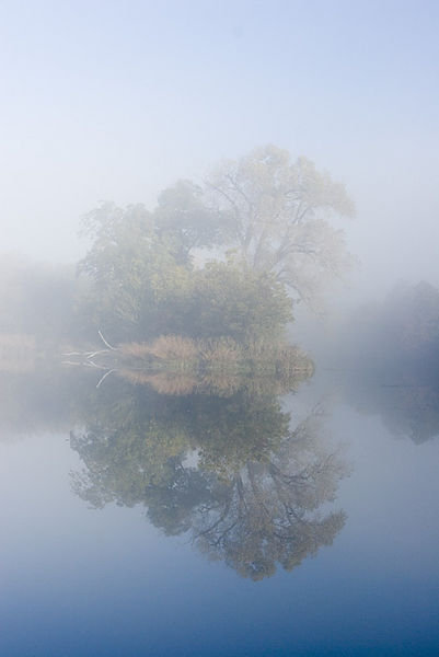 Reflection in the fog