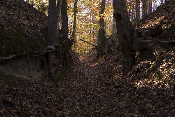 Sunken Trace