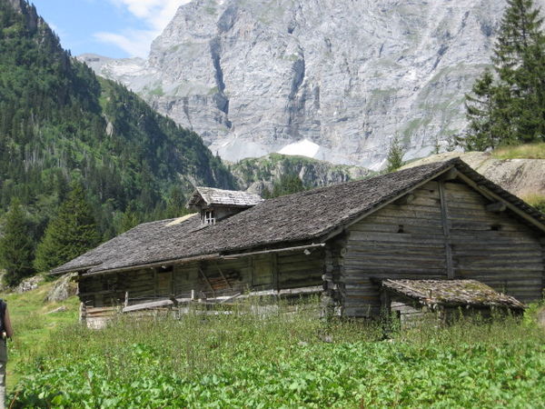 Alpine cheese farm