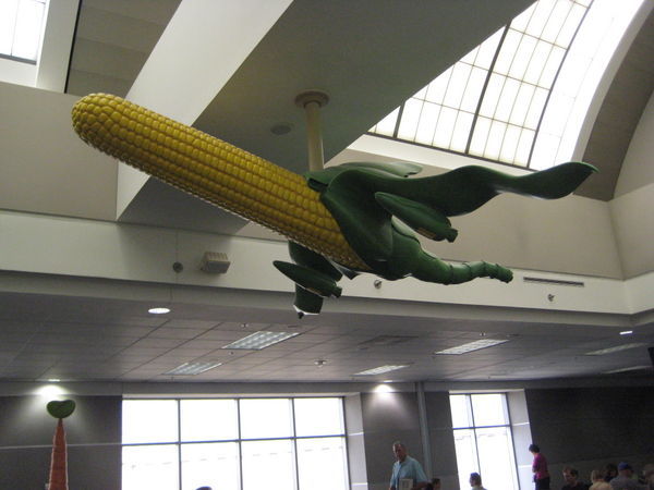 Corn Plane