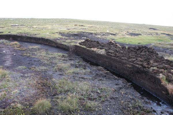 A peat cutting site