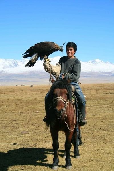 Young Kazakh Boy With His Eagle and His Stallion