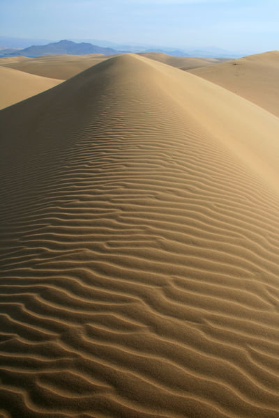 Beautiful Dune