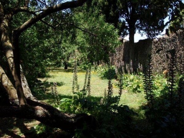 Restored garden at Pompeii