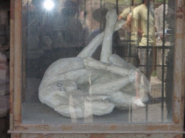 A dog that died at Pompeii