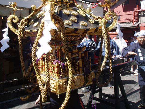 close up of a float