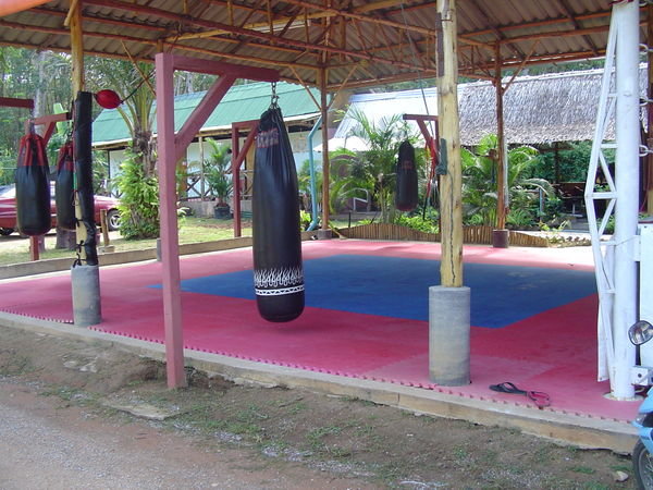 Beginner training area