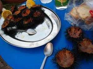Sea Urchin feast