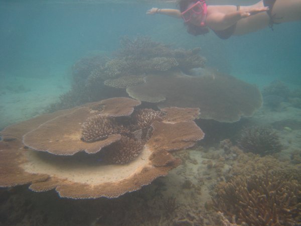Snorkeling at nearby island