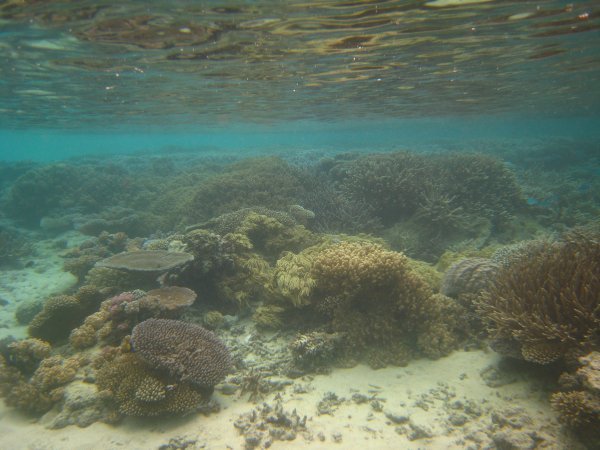 Snorkeling at nearby island