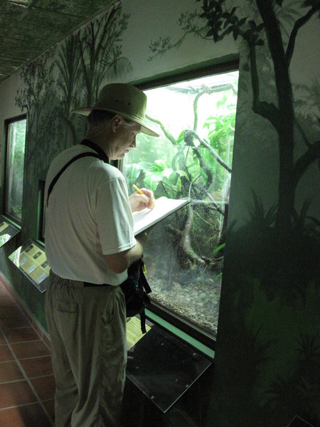 Uncle Don sketching in the frog part of the zoo