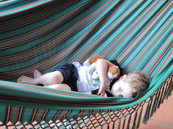 Nap time in a hammock