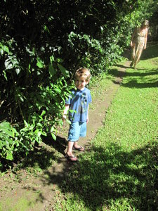 Nathan on an ant trail