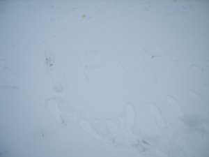Snow messaging