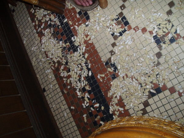 Monkey Nut Shells on the floor at Raffles!!!!