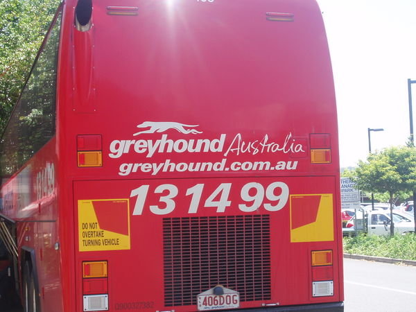 Greyhound Bus!!!!!