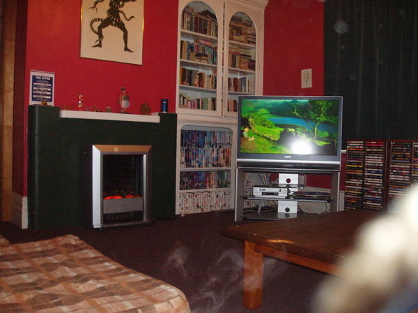 comfy living room at fraurenhaus!!!!