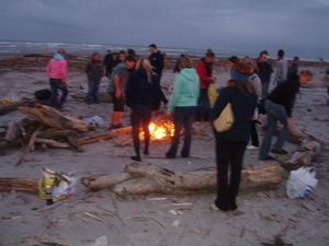 everyone building the beach bonfire!!!!!!