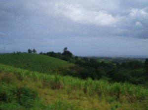 views of fiji