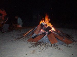 bonfire ont he beach