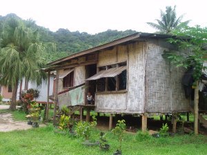 fijian vilage