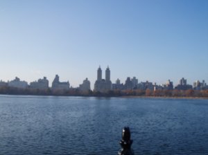 views from central park lake