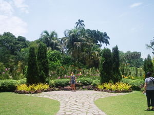 Me at the Orchid Gardens!!!!!!