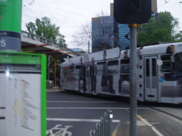 the tram system in melbourne!!!!!!