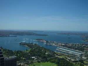 Sydney Harbour from up the tower!!!!!!