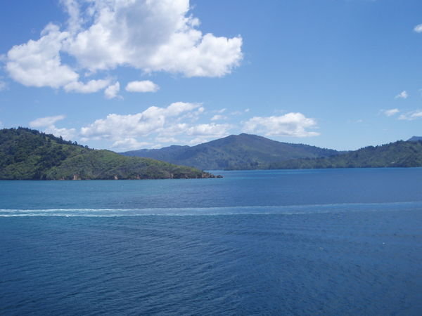 marlborough sounds from the ferry