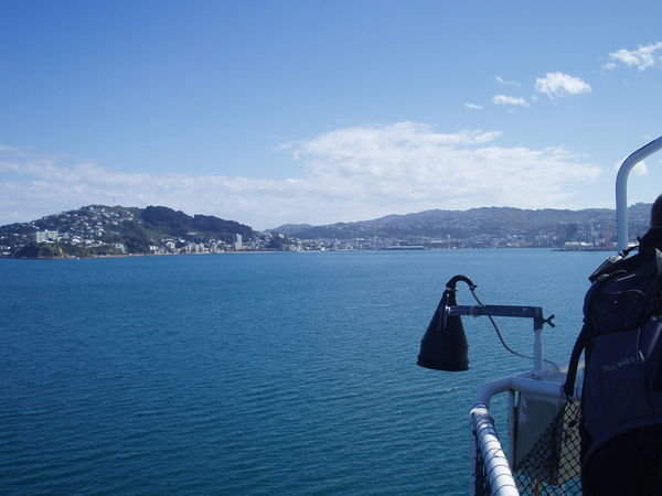 Wellington from the ferry!!!!
