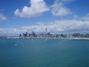 view of auckland from the bridge!!!!!