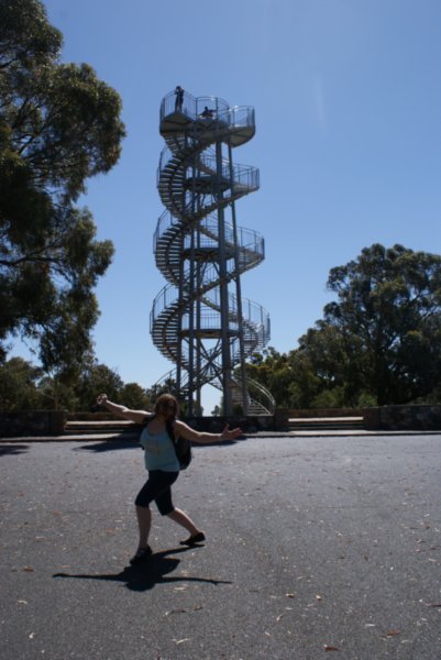 the DNA tower in Kings Park