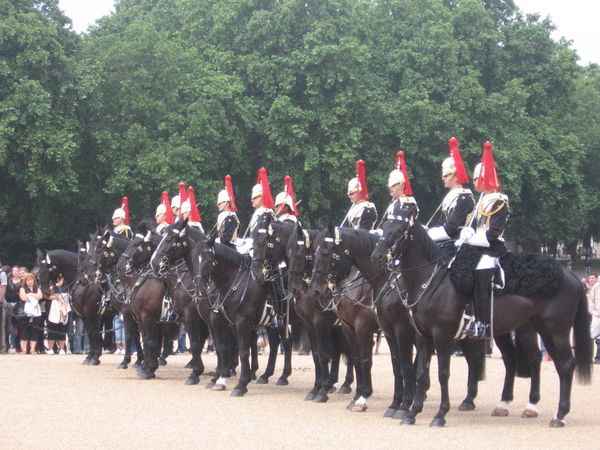 the horse guards