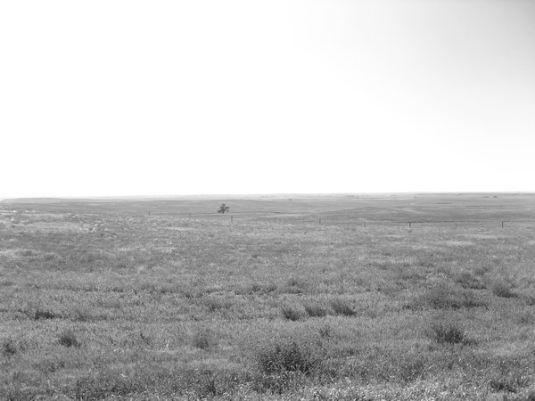 Desolation of Smaug