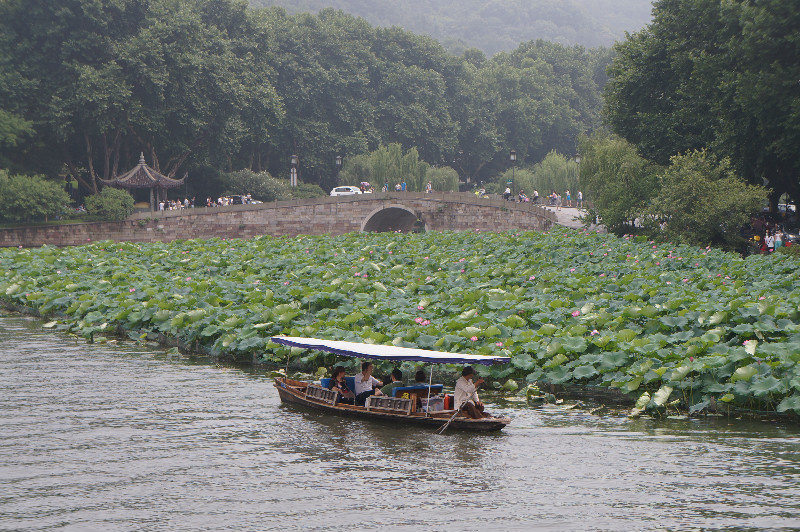 West Lake lotus and boat