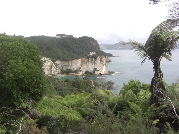 Cathedral Cove walkway