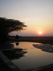 Sunrise - Kitchwa Tembo 