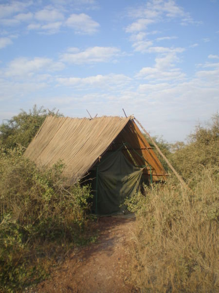 Tented camping safari V.2