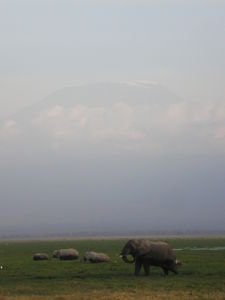 Mount Kilimanjaro from Amboseli NP
