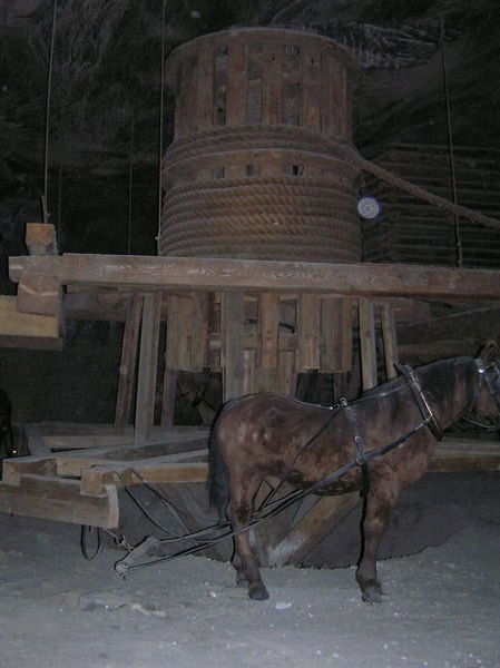 Salt Mine work horse