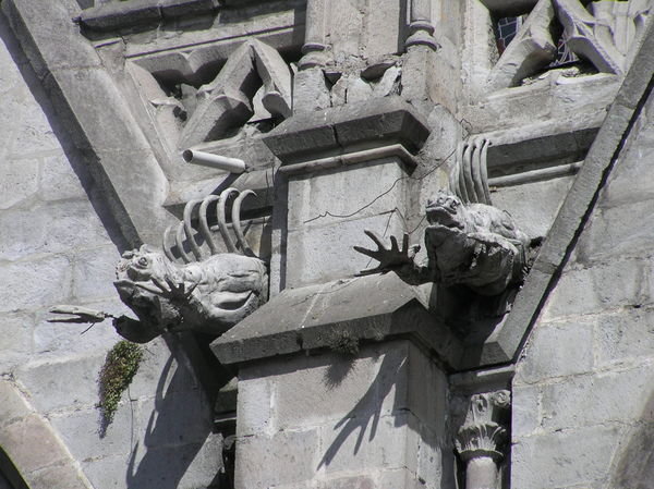 Quito cathedral take on the old gargoyle