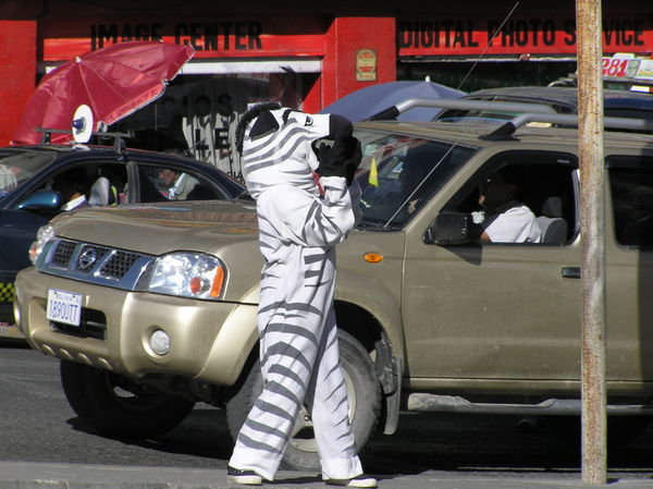 Believe it or not - a zebra crossing in La Paz