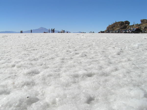 Go figure - an island in the middle of a salt flat