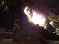 DAY 2: Niah Cave advantures